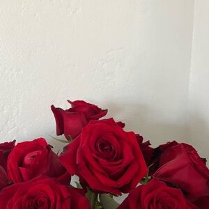 Meet your Posher, Misha